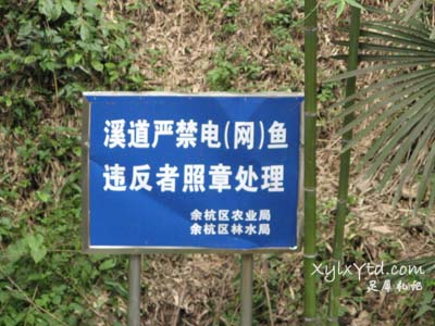 溪道严禁电(网)鱼