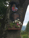 Tree Memorial