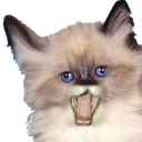 Funny Voice Kittens mobile app icon