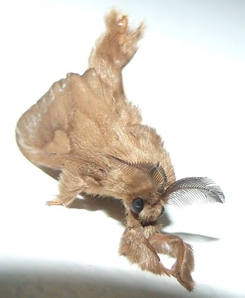 Spotting Image 1