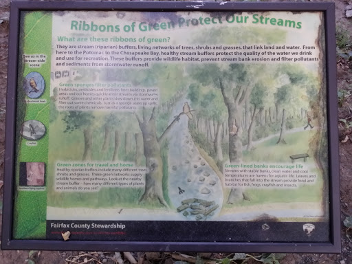 Fairfax County Park - Ribbons Of Green Protect Our Streams