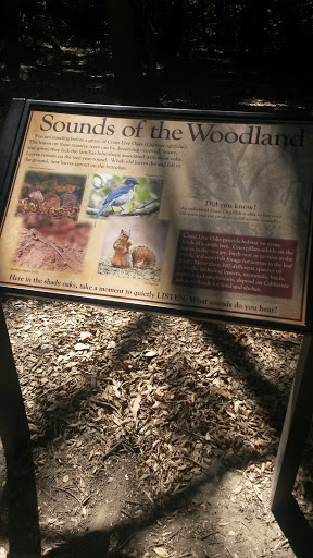 Sounds of the Woodland