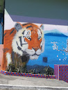 Tiger Graffiti