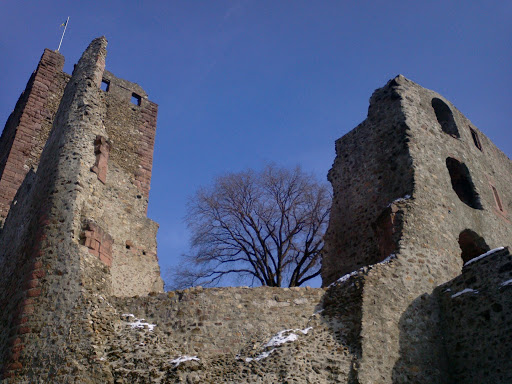 Kastelburg Ruine Waldkirch