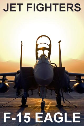 Jet Fighters: F-15 Eagle PRO