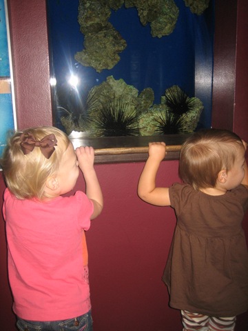 [20081003_0100[7].jpg]