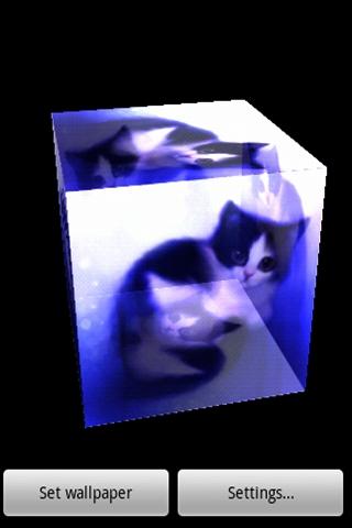 3D romantic cat