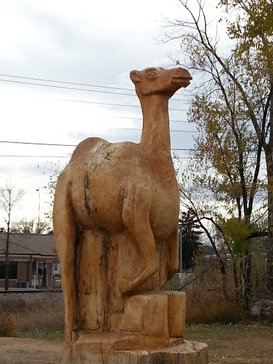 Wood Camel