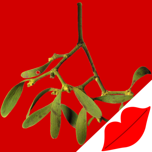 Mistletoe LOGO-APP點子