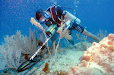 Detector De Metales Garrett Okm Nokta Fisher