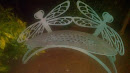 Dragonfly Bench