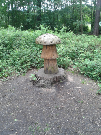Mushroom Carving