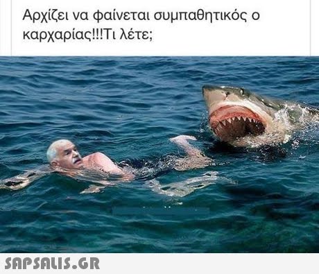 Αρχίζει να φαίνεται συμπαθητικός ο καρχαρίας!!Τι λέτε; 