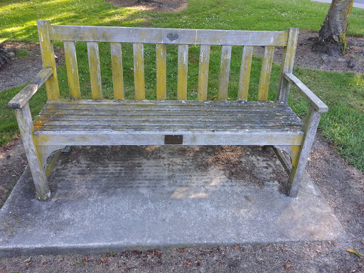Geraldine High School Donated Park Bench