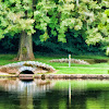 The Bridge