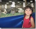 Emma & Chickens