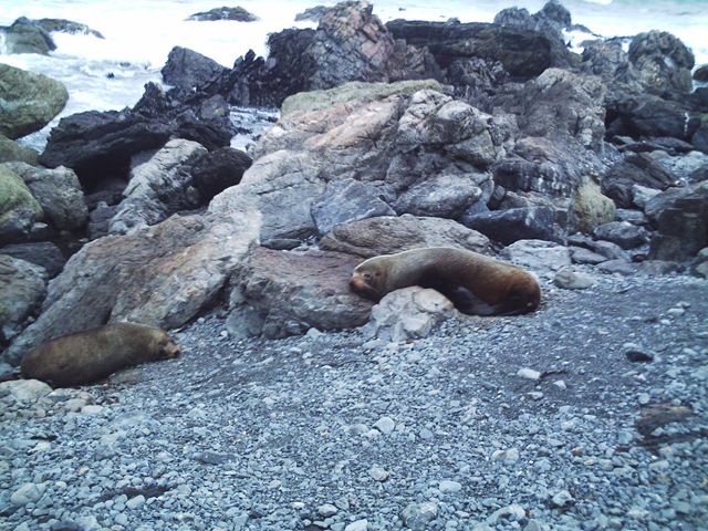 [Diversas 173[2].jpg]