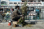 The famous "Bush Man"--He makes a killing entertaining others by startling passers by!