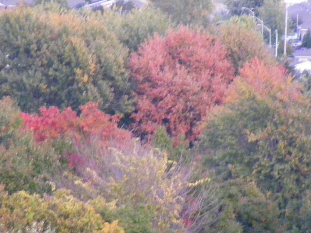 [2008_10130084[2].jpg]