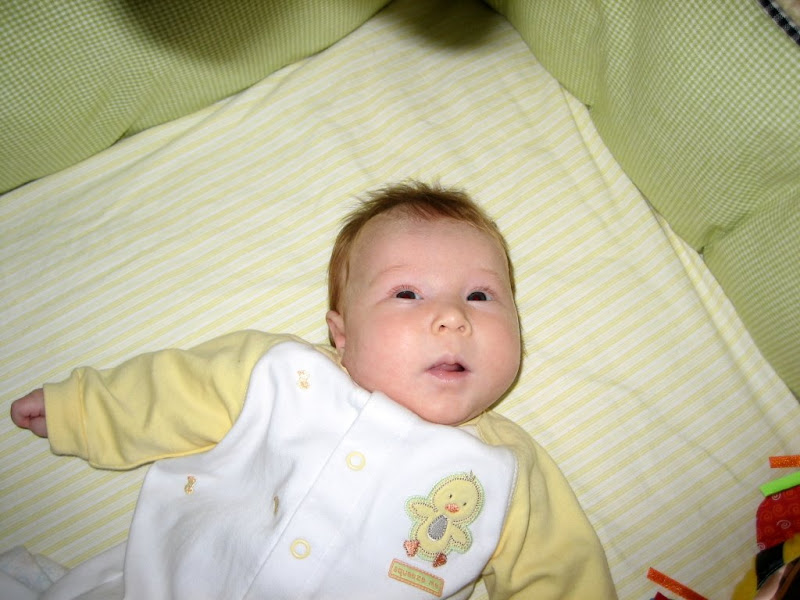 Baby Luci