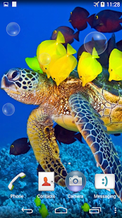 How to mod Sea Turtle Underwater 1.0 mod apk for bluestacks