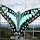 SDN Mojorejo 1 Butterflies of East Java