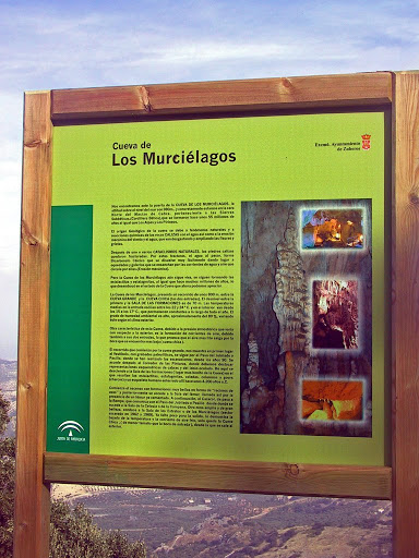 Cartel Cueva De Los Murciélagos