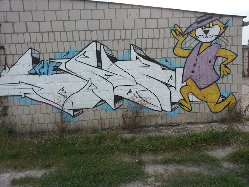 Street Art Kotek