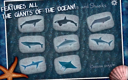 직소 퍼즐과 고래와 상어들