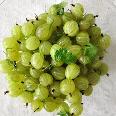 Gooseberry Elderflower Syllabub