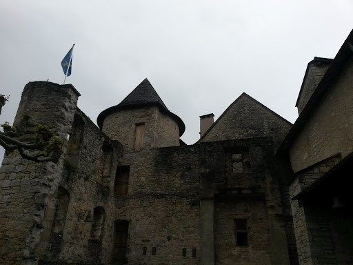 Salvignac - Château