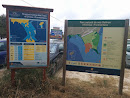 Reserva Natural De Ses Salines