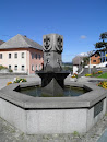 Gemeinde Brunnen
