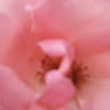 DSCF1683.JPG