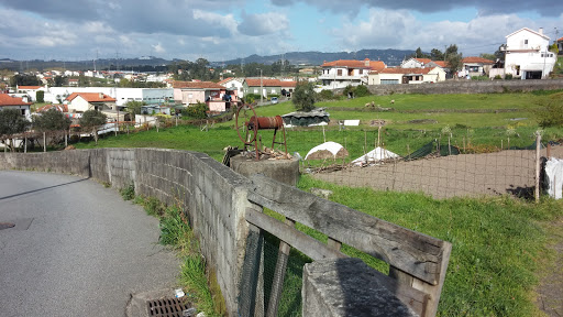 Roda do Poço