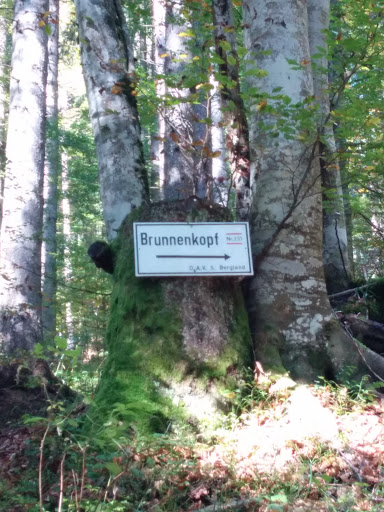 Brunnenkopf Wanderweg