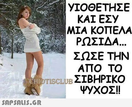 y1ΟΘΕΤΗΣΕ ΜΙΑ ΚΟΠΕΛΑ ΡΩΣΊΔΑ ΣΩΣΕ ΤΗΝ ΑΠΟ ΤΟ LIDTISCLUB ΣΙΒΗΡΙΚΟ 