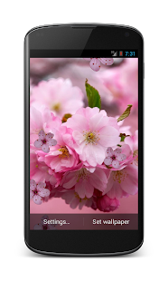 How to get Cherry Flower Live Wallpaper patch 3.0 apk for laptop