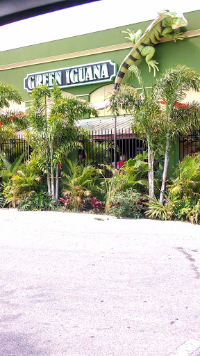 The Green Iguana Brandon Mall