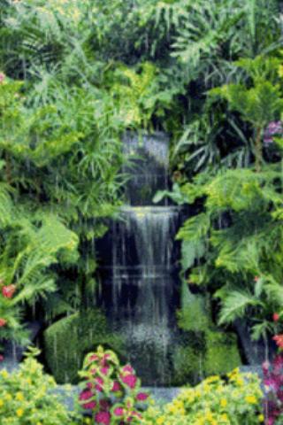 Waterfall In Garden Live Wallp