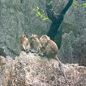 family meeting