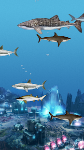 How to mod Abubu ocean live wallpaper 1.5.4 unlimited apk for android