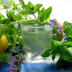 Lemon Verbena and Mint Tea - French Verveine and Mint Tisane