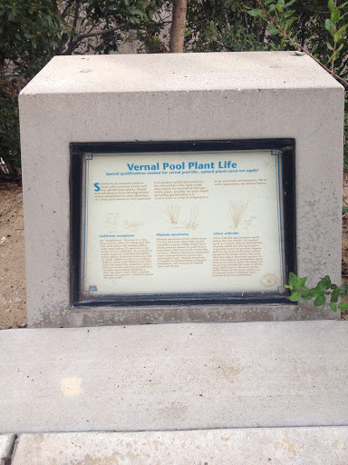 Vernal Pool Plant Life