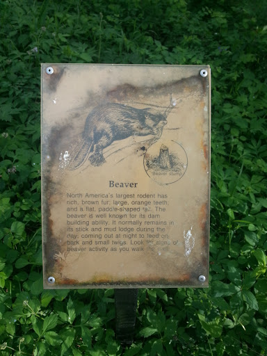 Beaver Informational Sign