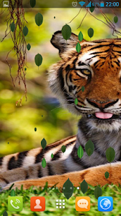 How to get Gracious Tigers Live Wallpaper 1.7.2 apk for laptop