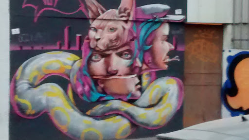 Crazy Man Cat Graffit