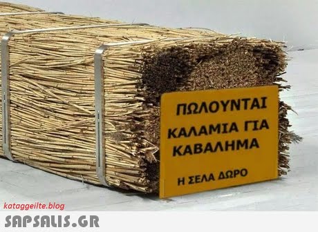 ΠΩΛΟΥΝΤΑΙ ΚΑΛΑΜΙΑ ΓΙΑ ΚΑΒΑΛΗΜΑ Η ΣΕΛΑ ΔΩΡΟ kataggeilte.blog 