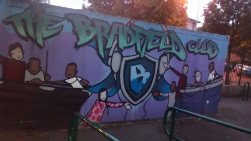 Bradfield Youth Club Mural 