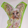 Yorkshire_terrier.jpg